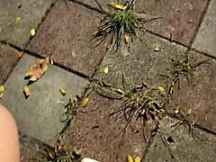 쉬메일 팅 쉬안이 야외에서 오줌 싸고 공원에서 자위하며 속옷 벗어