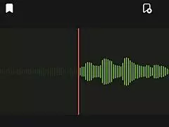 Spying on argentine neighbor audio part 2