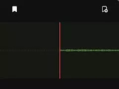 Spying on argentine neighbor audio part 2