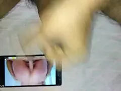 indian cock shown in close detail