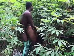 First Sex Experiment with Course Mate in Bush Turns Wild with Doggy Style