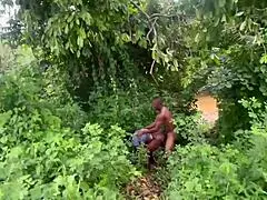 Naar De Bos Voor Snelle Doggy Seks! 🌳