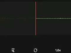 i recorded this increible audio of my vecina. parte 1 with spying