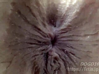 dog-sniffing beauty's scent: sausage, stained panties, sex edition