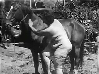 Dark Lantern Entertainment представя жени с животни в дива ретро сцена на сурово желание