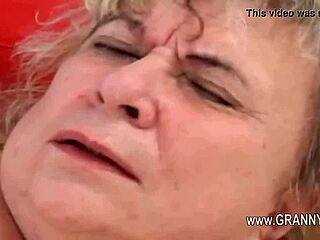 diabolically intense mature action unfolds