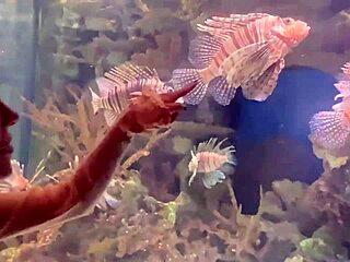 I turned our aquarium trip with aliya brynn into aggressive ass eating and milking her