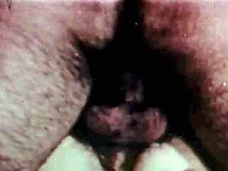 A knight errant discovers the dragonfly