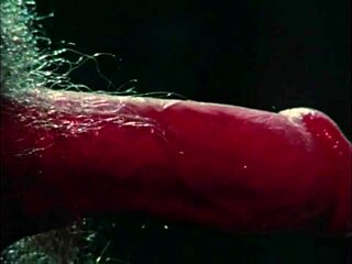 Wow, Check Out This Wild Bardo Orgy Group Sex! 😜