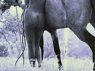 Хей, виж тези винтидж момичета от природата