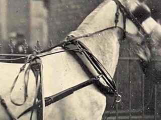 In Victorian England, a gentleman reveals the erotic sins of his step grandmothers through intimate confessions.