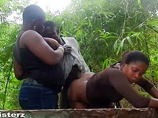 African Gift Invites Aboki for a Wild Bush Adventure