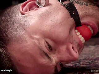 Redhead Zoe Grey, Muscular Bodybuilder, Features Big Tits and Tight Body