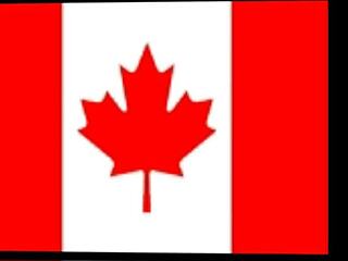 I pose for a shemale stars photo shoot