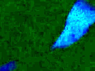 First Film Experience Ever