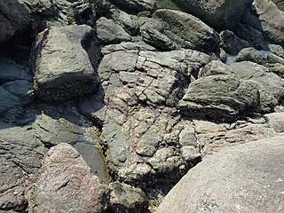 went to beach with friend and fucked him