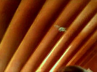 Jenna Jaymes Deepthroats And Tittyfucks Big Cock