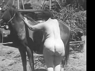 Dark lantern entertainment unveils retro vintage antiques