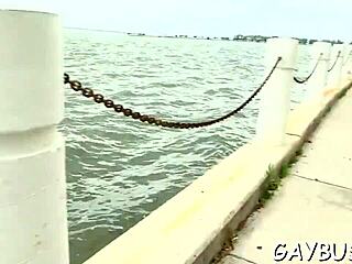 Hey, check out these gay sex scenes from movies, he said casually.