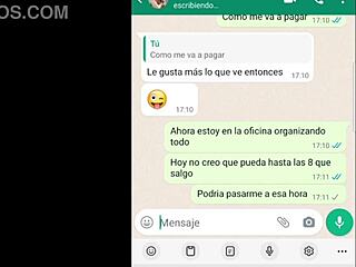 contrato un fontanero gratis para reparaciones en casa parte 3