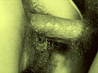 dark lantern entertainment unveils vintage taboo family secrets from a victorian gentleman's confessions