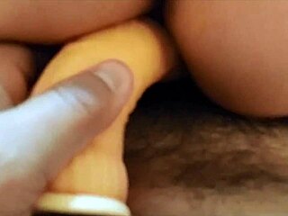 amateurs try anal with dildo again, getting wild