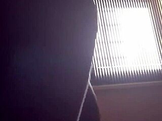 Introducing New Booty Styles