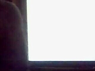 beautiful latina sucks her big buddy's cock hard