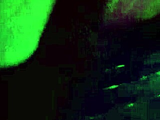 white girl craves big black cock from behind