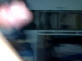 Passionate Blowjob and Ass Play