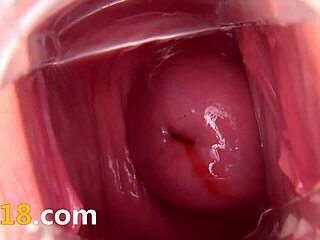 Enjoy the czech model toying her cunt