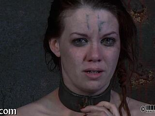 Femdom Sadomasochism Exploration