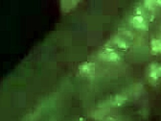 Best Blowjob Ever: Mouthful Of Cumshot That Leaves You Wanting More