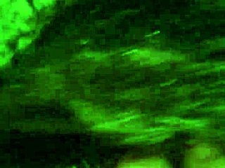 Best Blowjob Ever: Mouthful Of Cumshot That Leaves You Wanting More