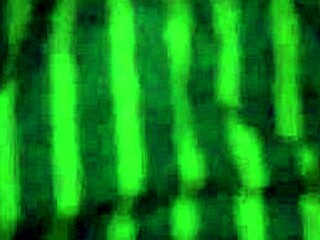 Tallando Mi Puchita Para El Que Se Le Antoje