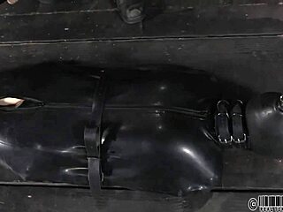 Zealous whipping of babe's ass