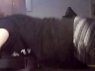 Homemade teen workout routine