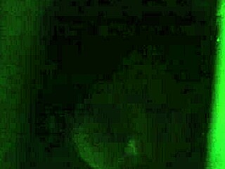 A simple story about my everyday life with my wife.