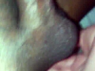 Group bride married swingers party