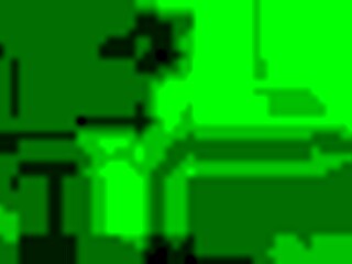 delicious movements in mexican hotel