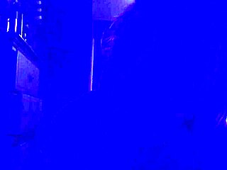 Nova Cane Blue Light Cock Special