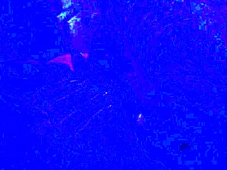 Nova Cane Blue Light Cock Special