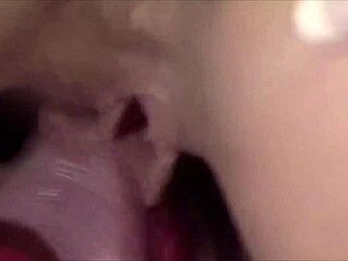 Elodie And Barbara Doll Fuck With Dildos!