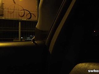 i picked up this real street whore and she got on pov for just 120 euros