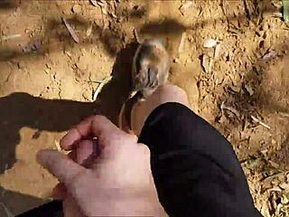 i'm jerking off in the bush, hairy and public like