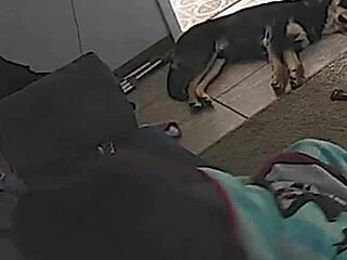 My sexy wife rides my dick with pure heat