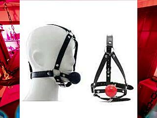 Exploring dictionary of harnesses and whippings in chapter 20