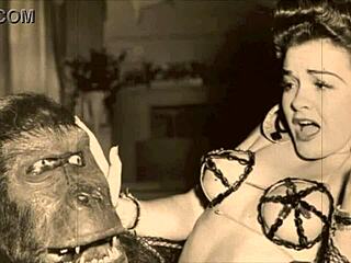 Dark Lantern Entertainment Presents Vintage Petmania