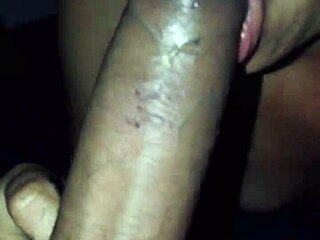 Fuckemall RA se relaja mientras chicas mixtas lindas chupan su polla puertorriqueña suave