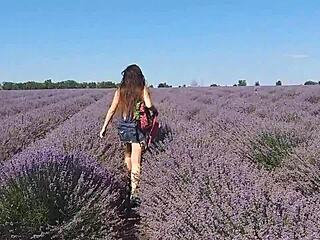 Butt plug display and pee moment in scenic lavender fields